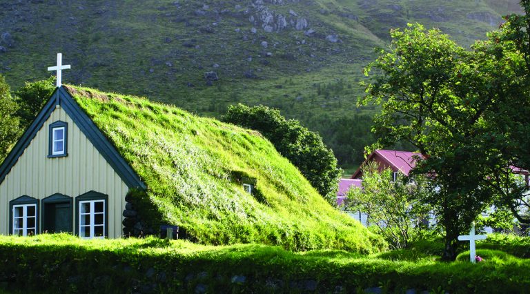 Green roof build up includes Widopan universal primer and widopan fd.JPG