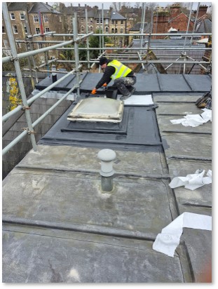 widopan Liquad waterproofiing 3.jpg